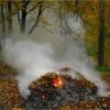 Власти Пятигорска просят воздержаться от осеннего сжигания листвы
